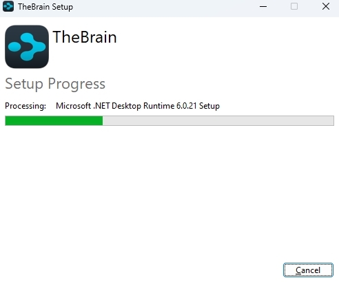 TheBrain 14