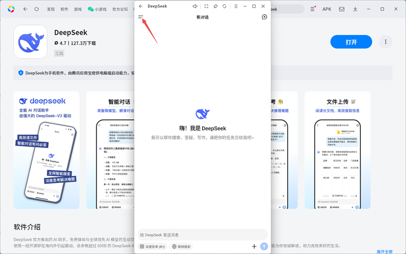 DeepSeek应用电脑版