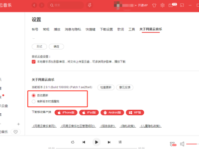网易云音乐怎么设置自动更新版本？