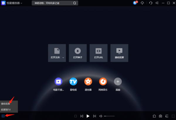 电脑恒星播放器可以投屏吗_能的话如何投屏