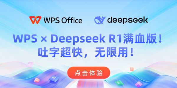 WPS&DeepSeek