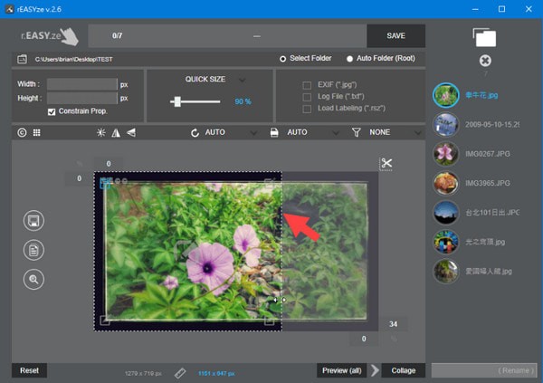 rEASYze(批量处理图片软件)