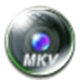 Brorsoft MKV Converter